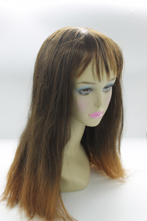 2755-g5.JPG